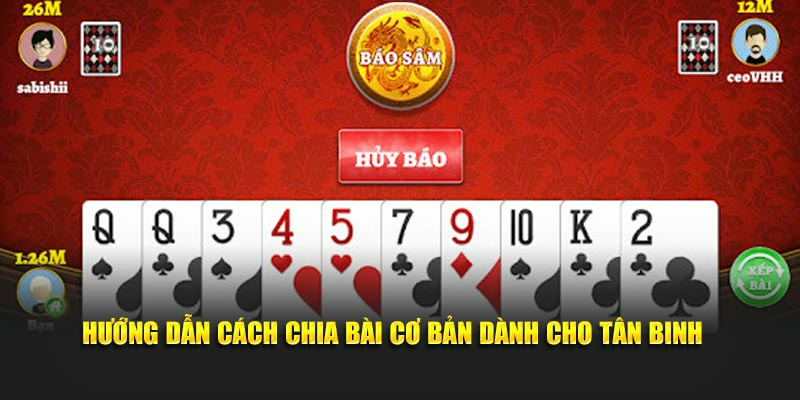 Hướng dẫn cách chia bài cơ bản dành cho tân binh 