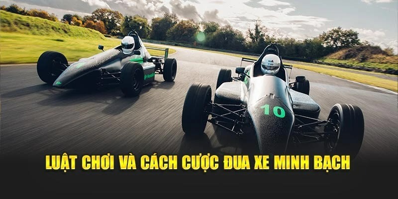 Luật chơi và cách cược đua xe minh bạch Luật chơi và cách cược đua xe minh bạch